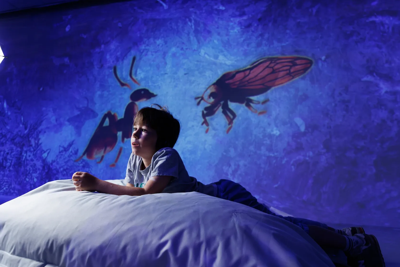 CITÉ IMMERSIVE FABLES